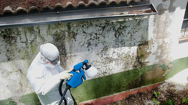Trusted Commercial Mold Remediation service in Damascus, OR - Cheap Mold Removal